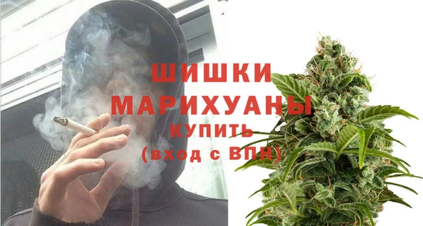 дживик Алагир