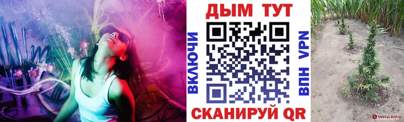 закладки Белоусово Шишки марихуана Bruce Banner
